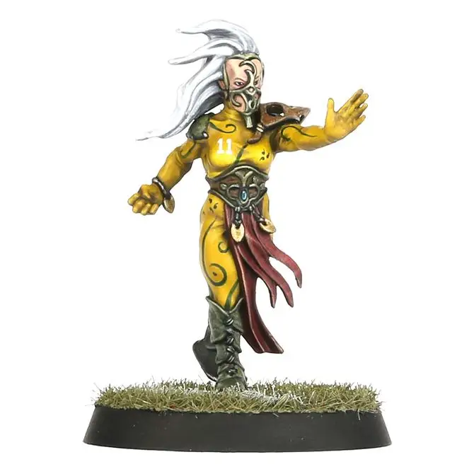 Blood Bowl: Wood Elf - Team - Image 5