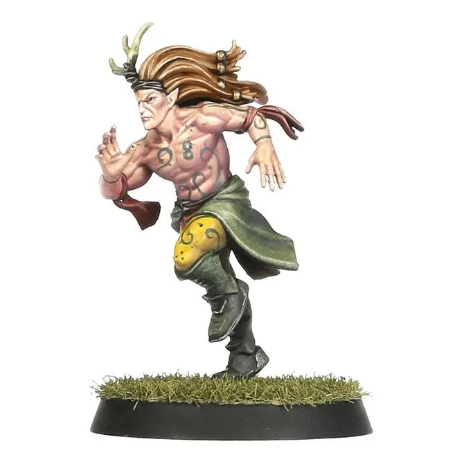 Blood Bowl: Wood Elf - Team - Image 8