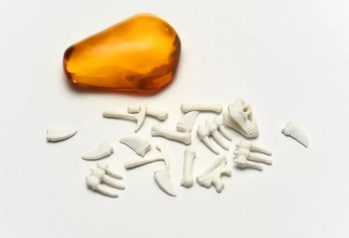 Fossilis (EN) - Image 4