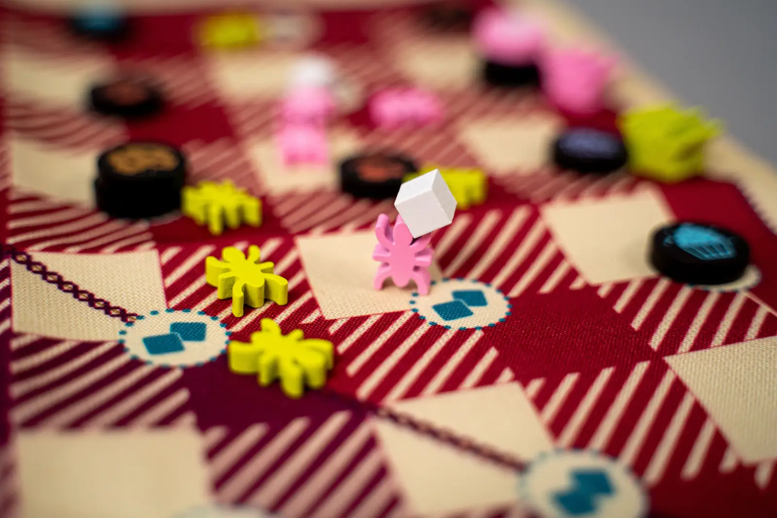 Gingham (EN) - Image 4