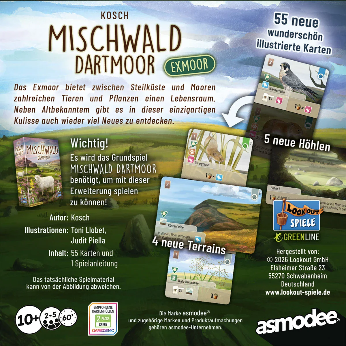 Mischwald: Dartmoor - Exmoor (DE) - Image 2
