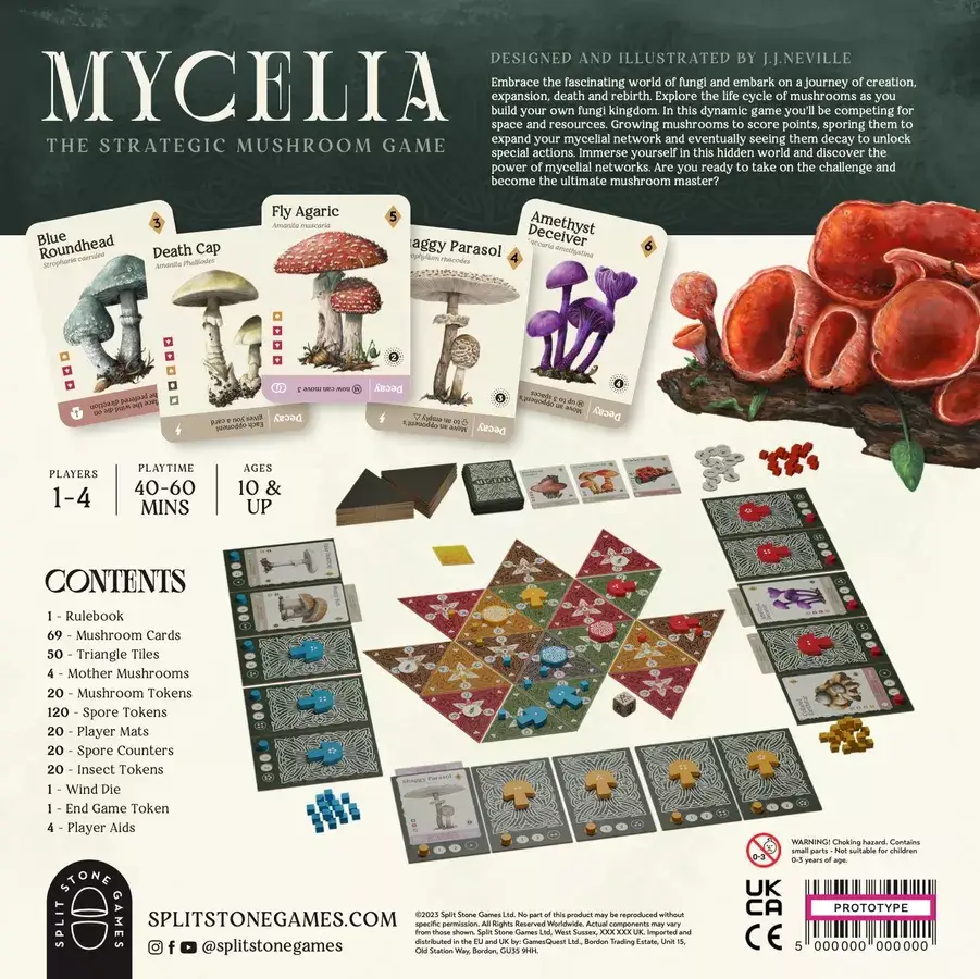 Mycelia (EN) - Image 2