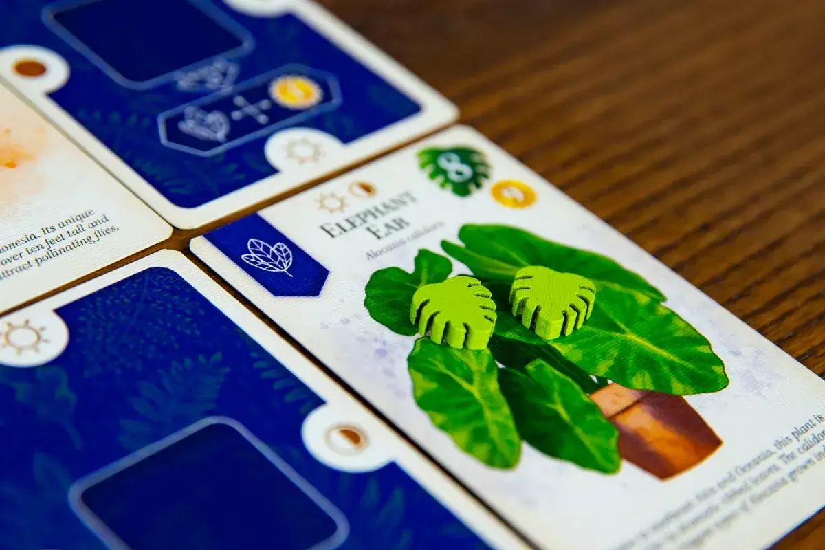 Verdant (EN) - Image 5